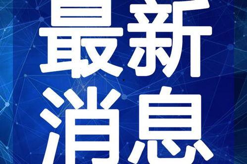 张良黄金爆料视频大全最新,视频大全深度解析 第2张 张良黄金爆料视频大全最新,视频大全深度解析 第2张