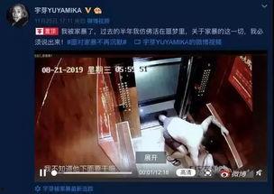 谁爆料家暴视频大全集,家暴视频大全集深度解析  第3张 谁爆料家暴视频大全集,家暴视频大全集深度解析  第3张